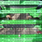 Зацеп стяжной цепью за точку крепления на технике