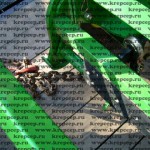 Фото цепи для увязки и крепления техники - зацеп и увязка с трещеткой